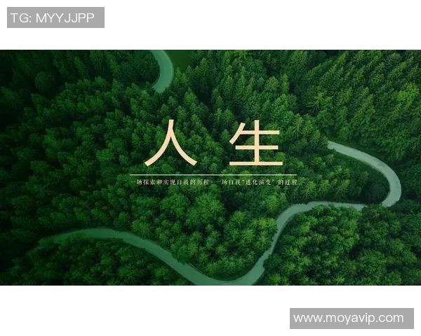 深度对话黄军排球人生的追求与坚持探索